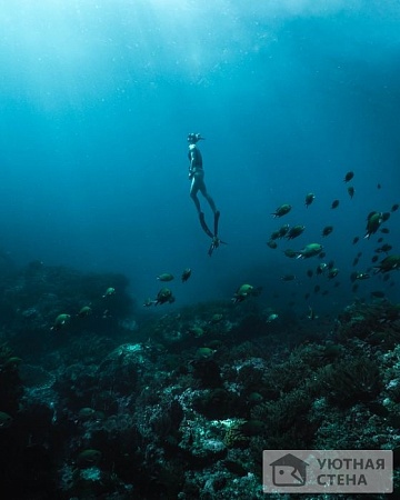 Аквалангист под водой