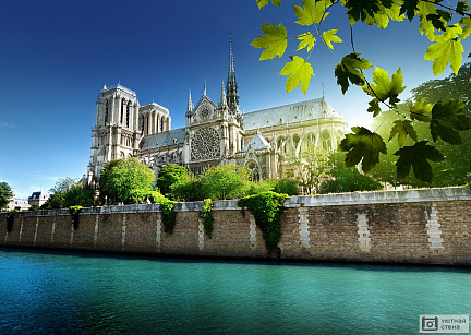 Фотообои Красивое изображение Нотр-Дам де Пари, Париж, Франция