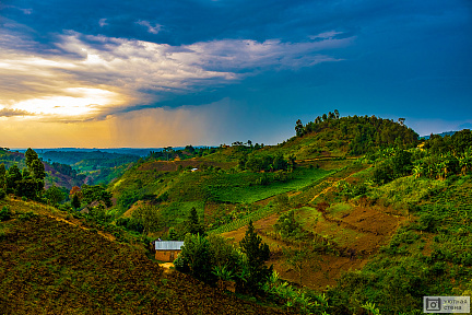 Фотообои Плантации в Уганде