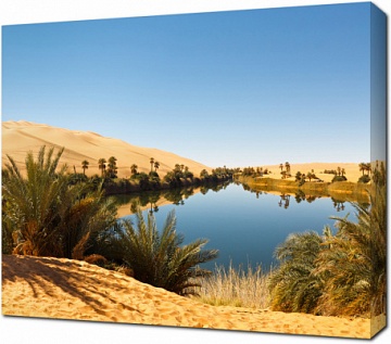 Оазис в пустыне Сахара. Ливия