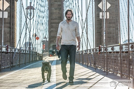 Джон Вик с собакой на мосту