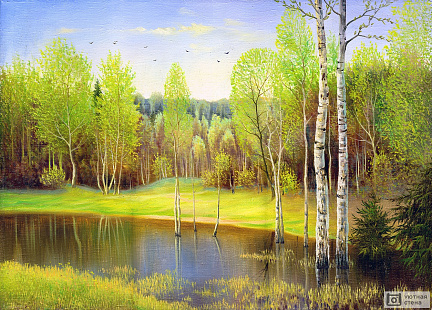 Озеро в весеннем лесу