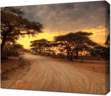 Серенгети национальный парк Африки