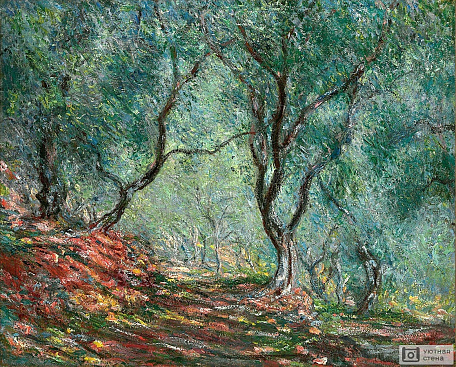 Клод Оскар Моне - Оливковые деревья в саду Морено