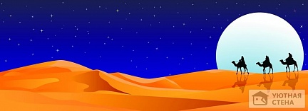 Спасительная ночь в пустыне