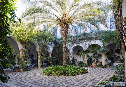 Андалузский внутренний дворик с растениями