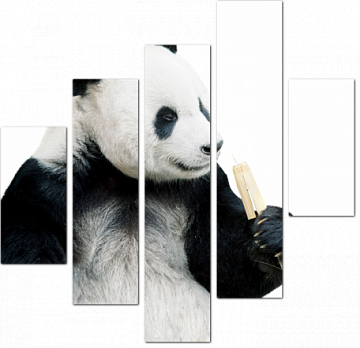 Панда с кусочком бамбука