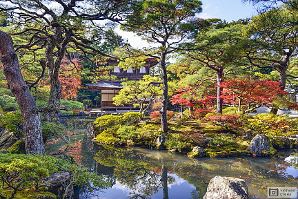 Японский сад осенью