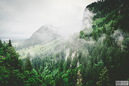 Фотообои Свежий воздух в горах