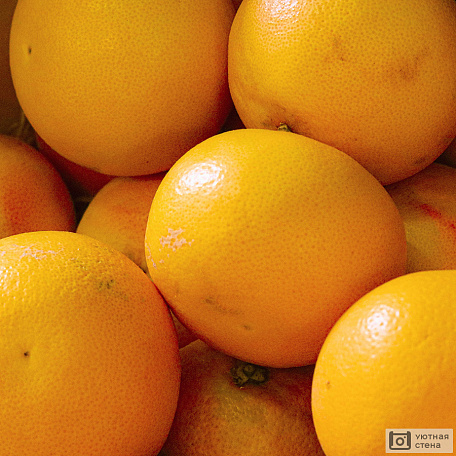 Яркие и сочные апельсины