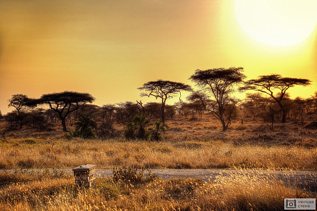 Фотообои Парк Серенгети в Африке
