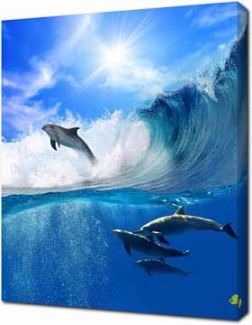 Группа дельфинов в волнах