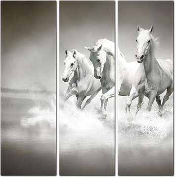 Бегущие по воде белые лошади