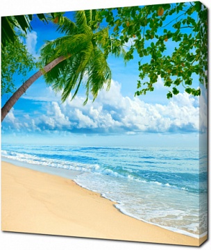 Песчаный тропический пляж в летний солнечный день