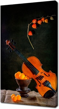 Натюрморт со скрипкой