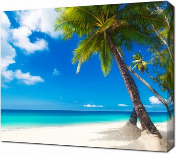 Красивые пальмы на белом песчаном пляже
