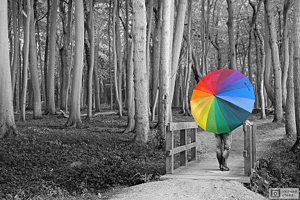 Девушка с цветным зонтом в черно-белом лесу