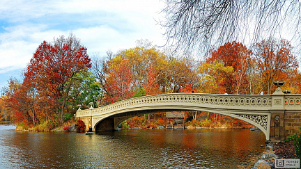 Красивый мост в парке осенью
