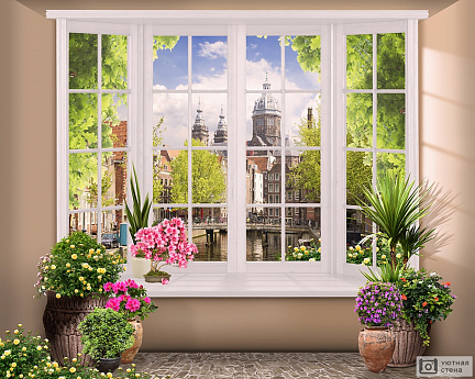 Окно с цветами и видом на старый город