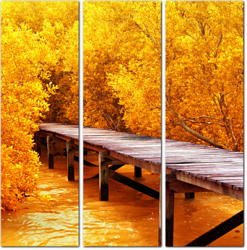 Деревянный мост в мангровом лесу