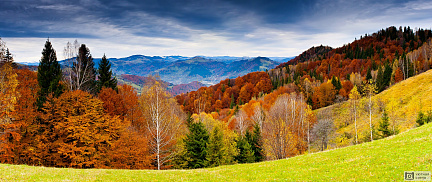 Осенний лес и горы