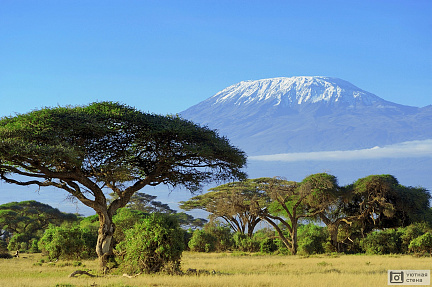 Фотообои Снег на вершине горы Килиманджаро