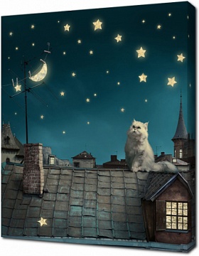 Кот на крыше дома под луной
