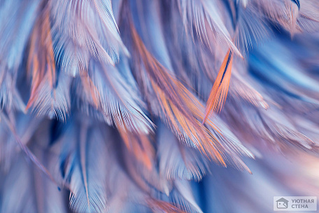 Голубые перья с вкраплением светло-коралловых