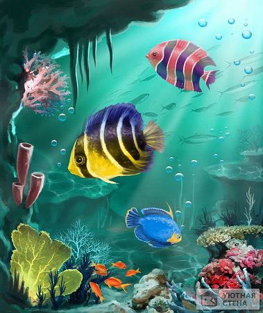 Удивительный подводный мир рыб