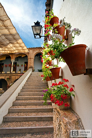 Цветы на стенах на улицах Кордовы. Испания