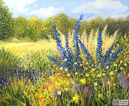 Яркий весенний луг с полевыми цветами