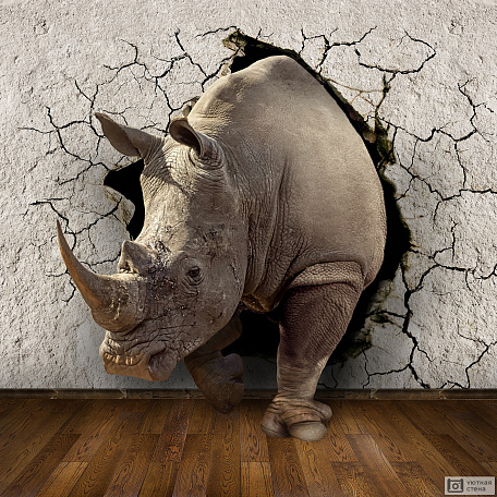 3D носорог и стена