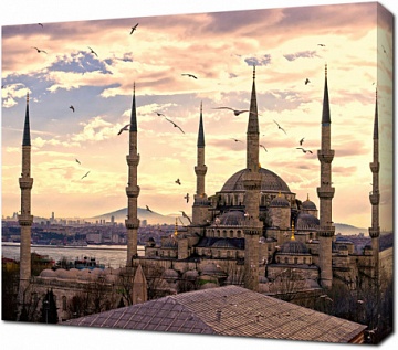 Мечеть в Стамбуле. Турция
