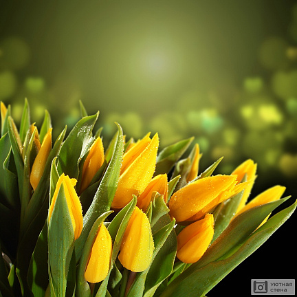 Букет желтых тюльпанов на красивом фоне