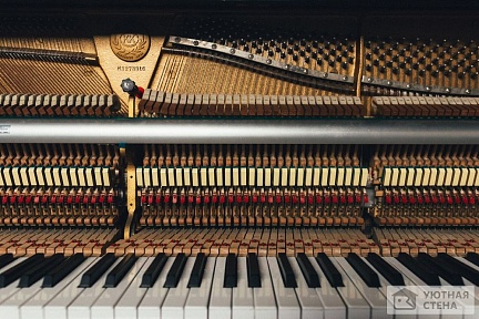Клавиши пианино крупно