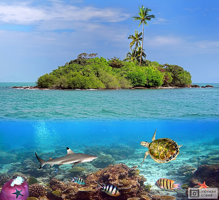 Остров с подводным миром