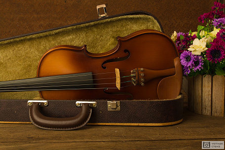 Скрипка и цветы на деревянном столе