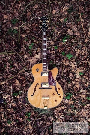 Гитара в осеннем лесу