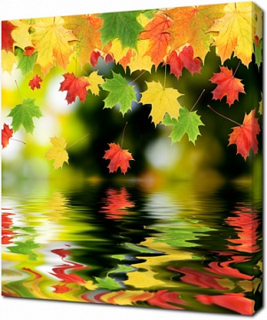Падающие осенние листья над водой