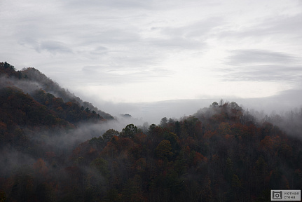 Холмы украшенные туманом и лесом