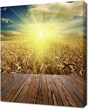 Терраса с видом на пшеничное поле