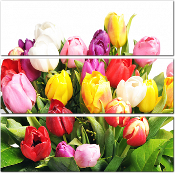 Букет с разноцветными тюльпанами