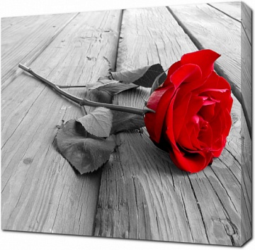 Красная роза на деревянном полу