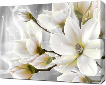 3D Белые распустившиеся цветы