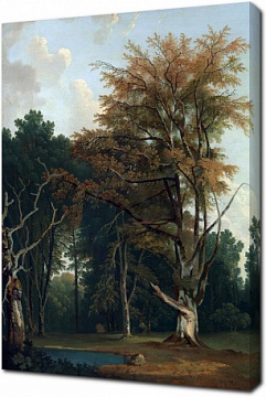Джозеф Фарингтон — Деревья на Лесной Поляне