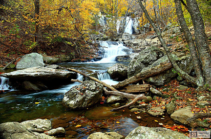 Осенний лес с водопадом