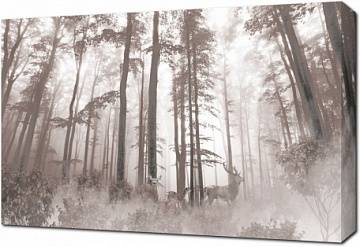 Туман в лесу с оленями