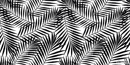 Черные пальмовые листья на белом фоне