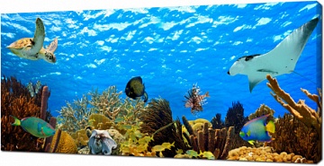 Панорама подводного мира