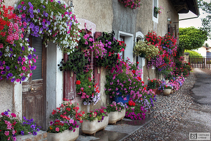 Дом украшенный цветами в Альбене. Франция